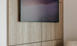 Lakeview Modern 106