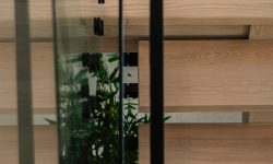 Lakeview Modern 109