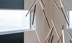 Lakeview Modern 111