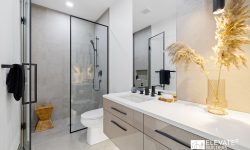 Lakeview Modern 46