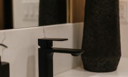 Lakeview Modern 93