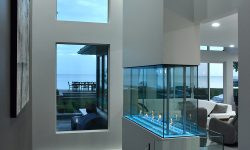 White Coast 11