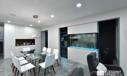 White Coast 31