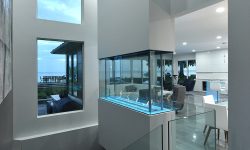 White Coast 7