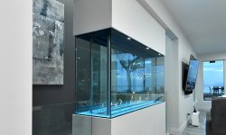 White Coast 8